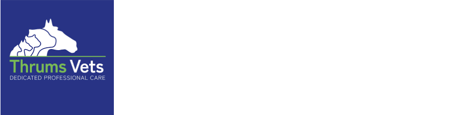 Thrums Vets: One of our Key Sponsors Thrums farm vets have been an integral part of the Angus and Perthshire farming community for over seventy five years, keeping animals healthy and productive for multiple generations of local farmers. We continue to be at the forefront of our profession as the largest independent veterinary group in Scotland, combining traditional values with the latest in innovative practice.